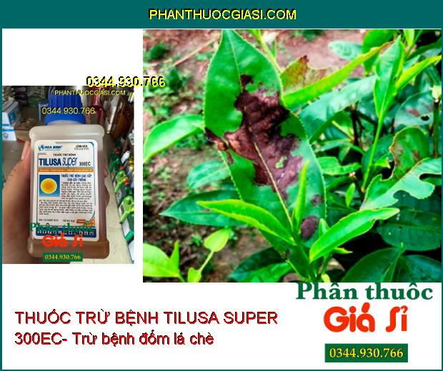 THUỐC TRỪ BỆNH TILUSA SUPER 300EC