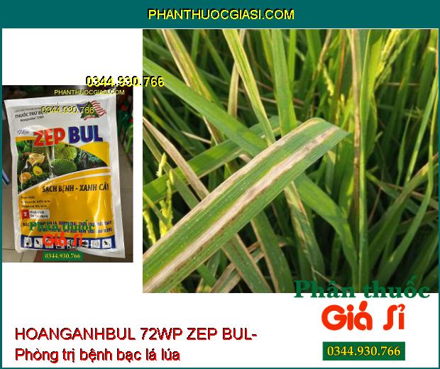 THUỐC TRỪ BỆNH HOANGANHBUL 72WP ZEP BUL