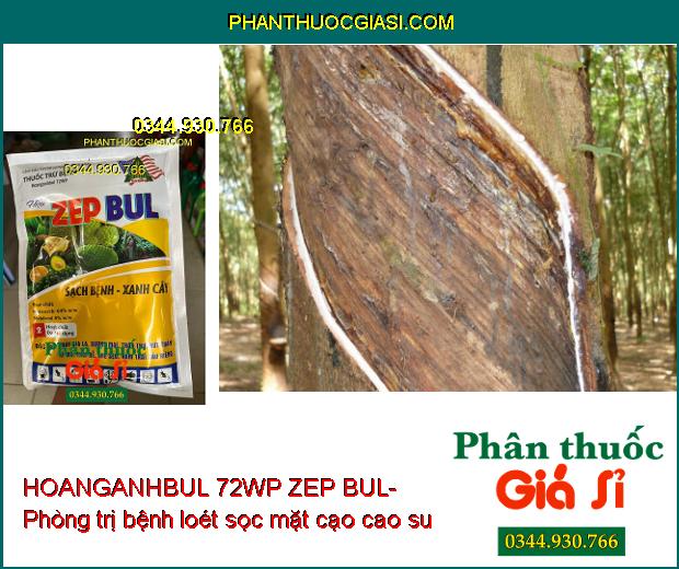 THUỐC TRỪ BỆNH HOANGANHBUL 72WP ZEP BUL