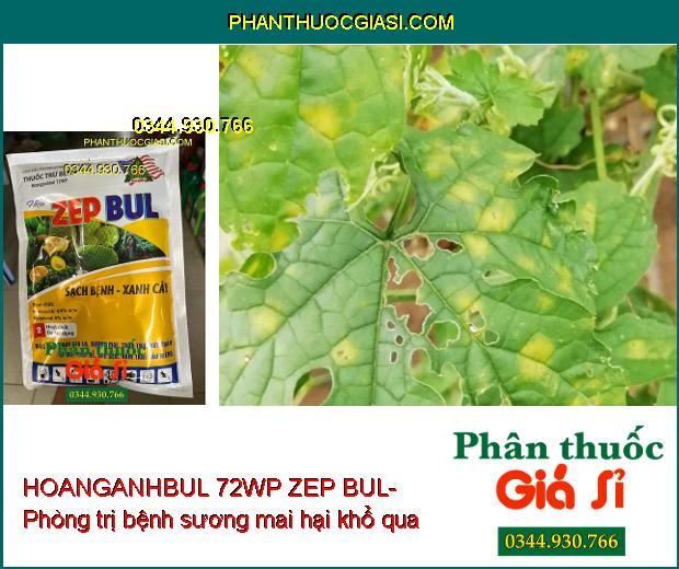 THUỐC TRỪ BỆNH HOANGANHBUL 72WP ZEP BUL