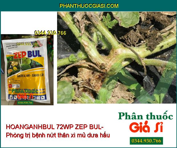 THUỐC TRỪ BỆNH HOANGANHBUL 72WP ZEP BUL