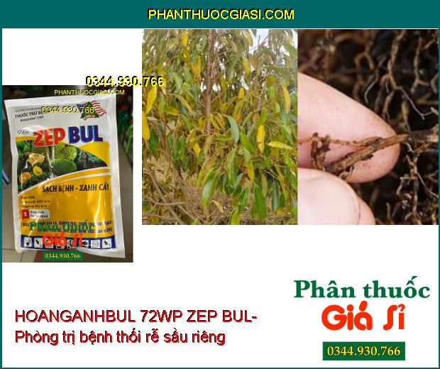 THUỐC TRỪ BỆNH HOANGANHBUL 72WP ZEP BUL