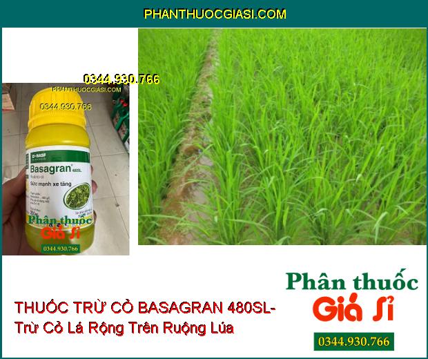 THUỐC TRỪ CỎ BASAGRAN 480SL- Trừ Cỏ Lá Rộng Trên Ruộng Lúa