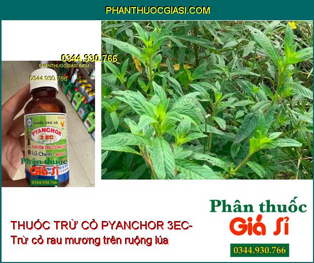 THUỐC TRỪ CỎ PYANCHOR 3EC