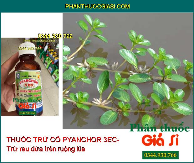 THUỐC TRỪ CỎ PYANCHOR 3EC