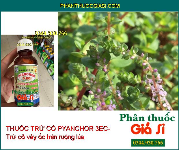 THUỐC TRỪ CỎ PYANCHOR 3EC