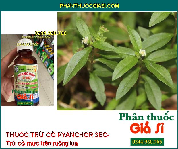 THUỐC TRỪ CỎ PYANCHOR 3EC