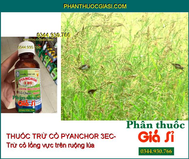 THUỐC TRỪ CỎ PYANCHOR 3EC