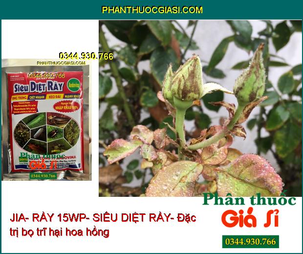 JIA- RẦY 15WP- SIÊU DIỆT RẦY