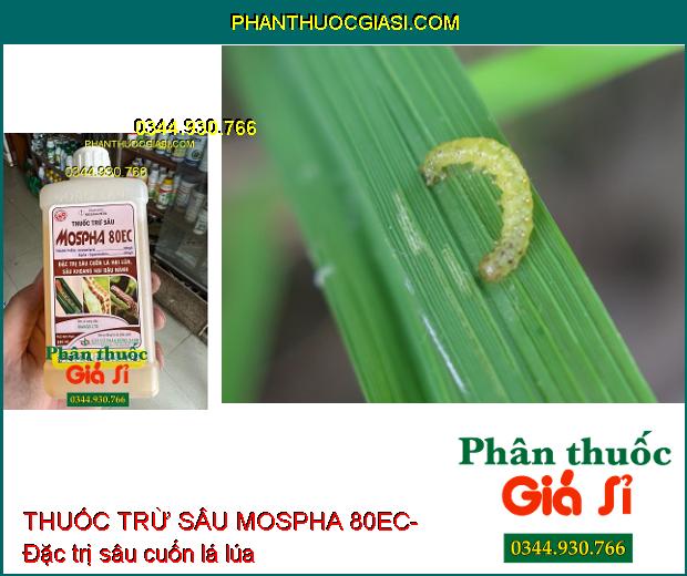 THUỐC TRỪ SÂU MOSPHA 80EC