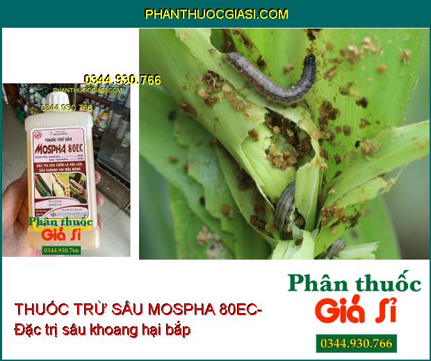 THUỐC TRỪ SÂU MOSPHA 80EC