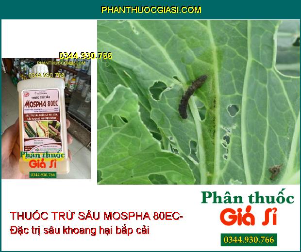 THUỐC TRỪ SÂU MOSPHA 80EC