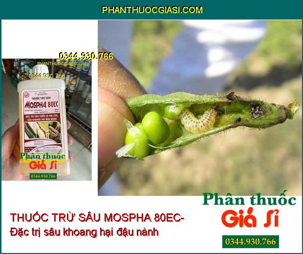 THUỐC TRỪ SÂU MOSPHA 80EC