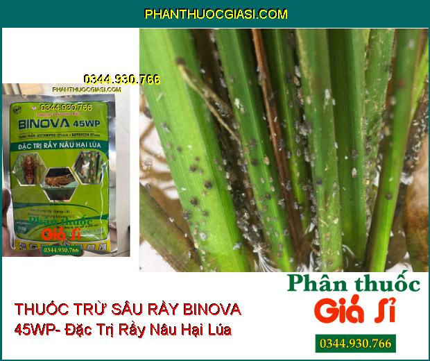 THUỐC TRỪ SÂU RẦY BINOVA 45WP- Đặc Trị Rầy Nâu Hại Lúa