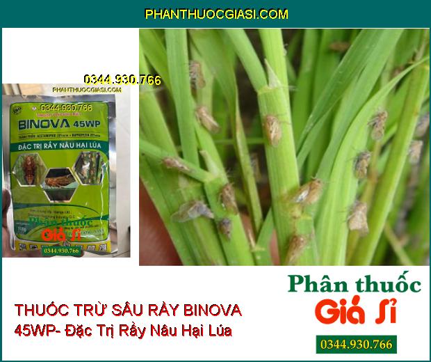 THUỐC TRỪ SÂU RẦY BINOVA 45WP- Đặc Trị Rầy Nâu Hại Lúa