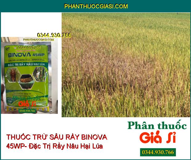 THUỐC TRỪ SÂU RẦY BINOVA 45WP- Đặc Trị Rầy Nâu Hại Lúa