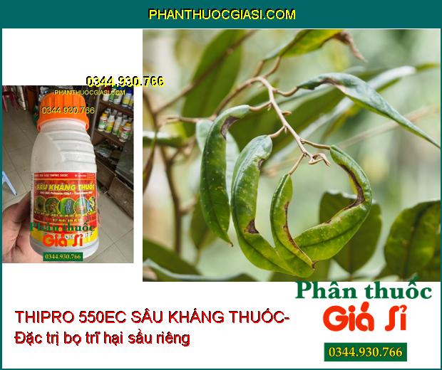 THIPRO 550EC SÂU KHÁNG THUỐC