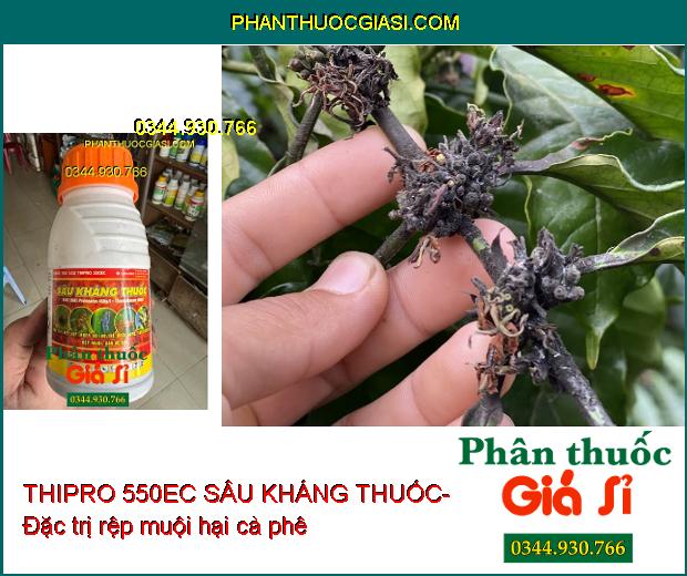 THIPRO 550EC SÂU KHÁNG THUỐC