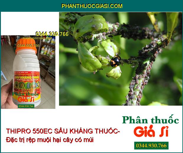 THIPRO 550EC SÂU KHÁNG THUỐC