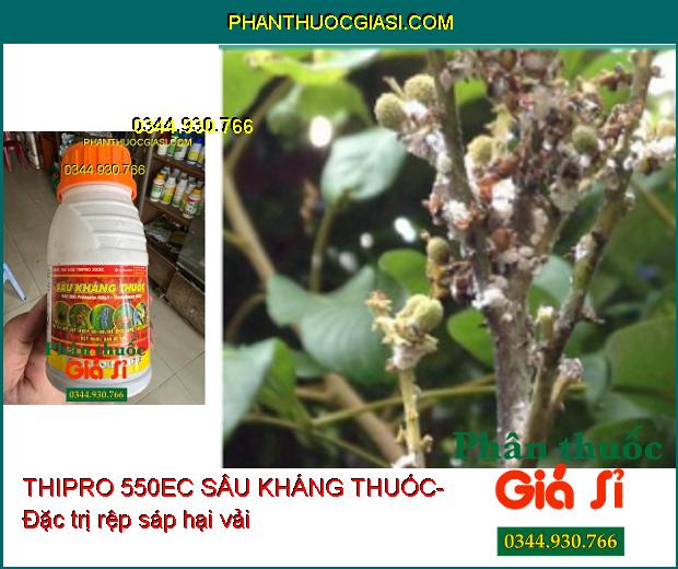 THIPRO 550EC SÂU KHÁNG THUỐC