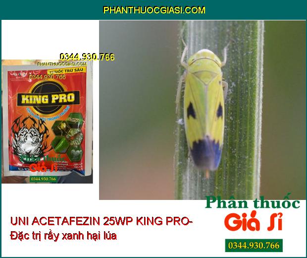 UNI ACETAFEZIN 25WP KING PRO