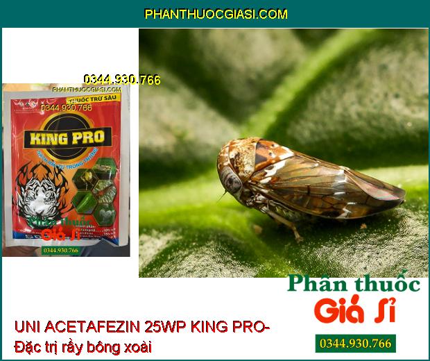 UNI ACETAFEZIN 25WP KING PRO