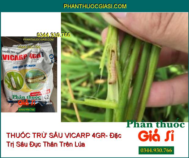 THUỐC TRỪ SÂU VICARP 4GR- Đặc Trị Sâu Đục Thân Trên Lúa