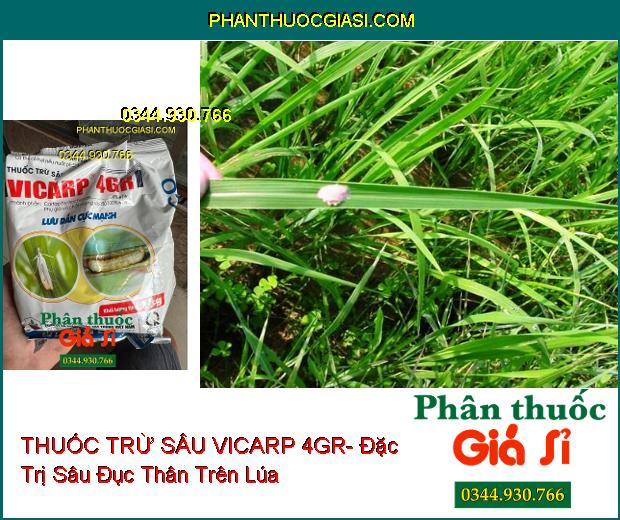 THUỐC TRỪ SÂU VICARP 4GR- Đặc Trị Sâu Đục Thân Trên Lúa