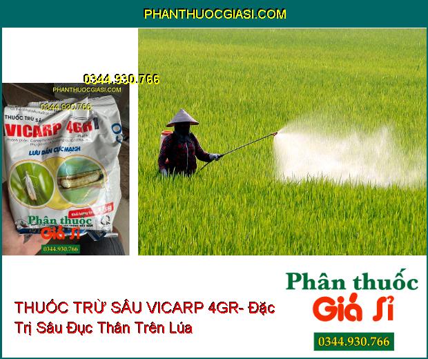 THUỐC TRỪ SÂU VICARP 4GR- Đặc Trị Sâu Đục Thân Trên Lúa