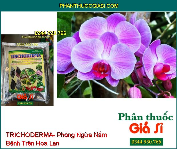 TRICHODERMA- Phòng Ngừa Nấm Bệnh Và Tuyến Trùng