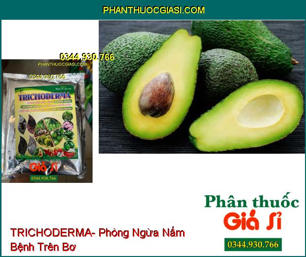 TRICHODERMA- Phòng Ngừa Nấm Bệnh Và Tuyến Trùng