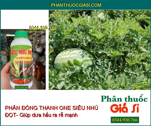 PHÂN ĐỒNG THANH ONE SIÊU NHÚ ĐỌT