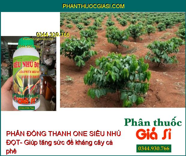 PHÂN ĐỒNG THANH ONE SIÊU NHÚ ĐỌT