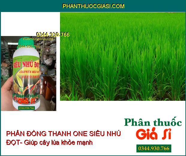 PHÂN ĐỒNG THANH ONE SIÊU NHÚ ĐỌT