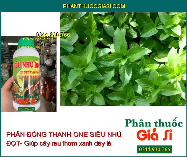 PHÂN ĐỒNG THANH ONE SIÊU NHÚ ĐỌT