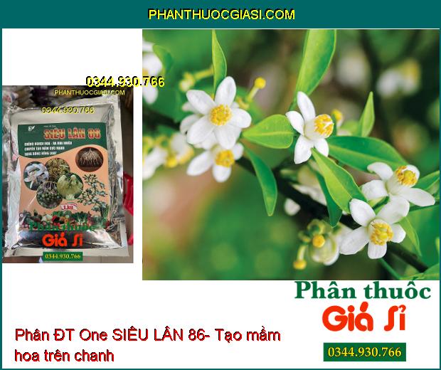 Phân ĐT One SIÊU LÂN 86