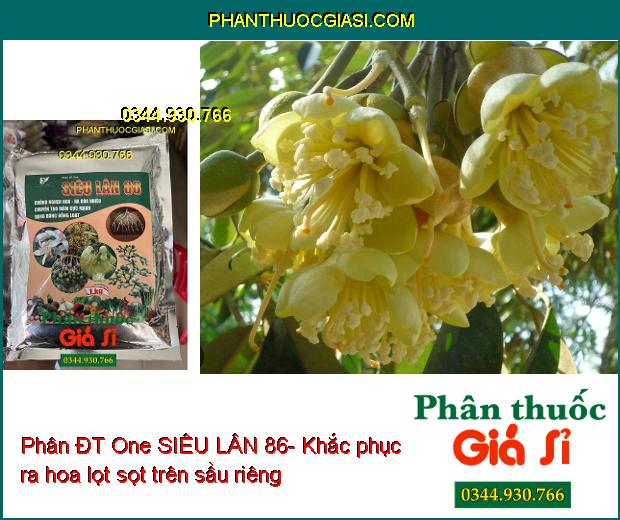 Phân ĐT One SIÊU LÂN 86