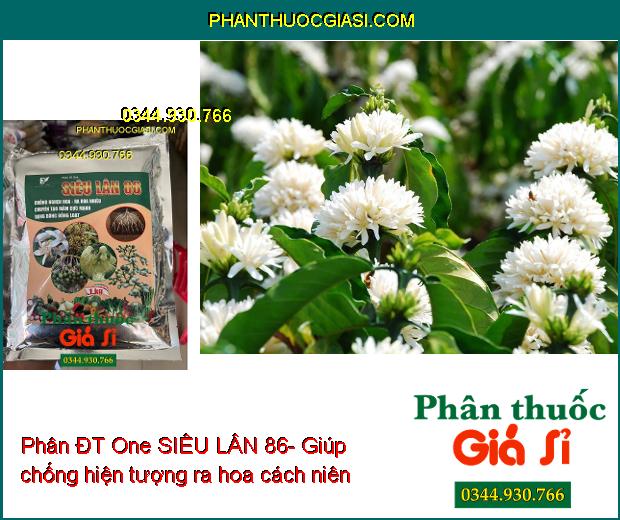 Phân ĐT One SIÊU LÂN 86