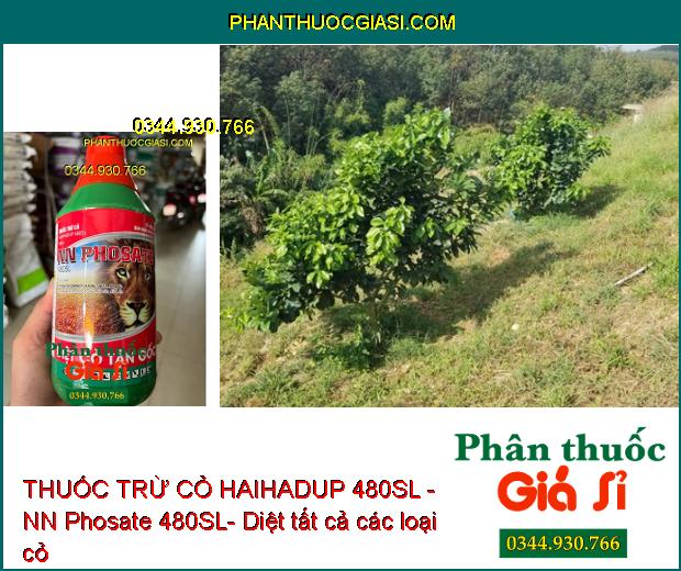 THUỐC TRỪ CỎ HAIHADUP 480SL - NN Phosate 480SL