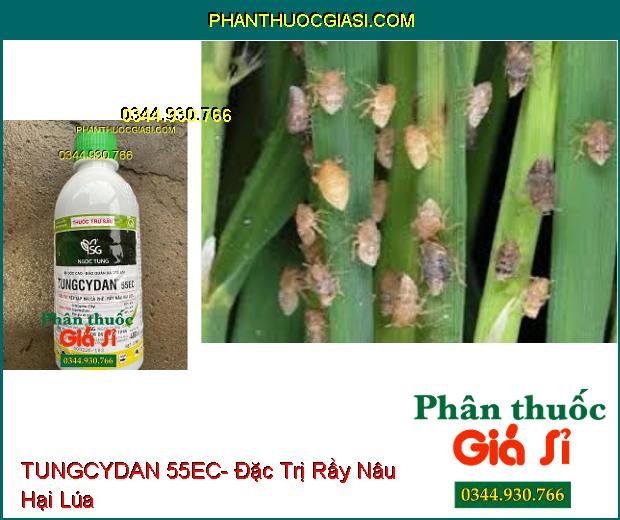 TUNGCYDAN 55EC- Đặc Trị Rệp Sáp Hại Cà Phê- Rầy Nâu Hại Lúa