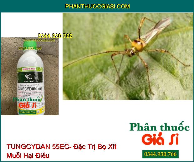 TUNGCYDAN 55EC- Đặc Trị Rệp Sáp Hại Cà Phê- Rầy Nâu Hại Lúa