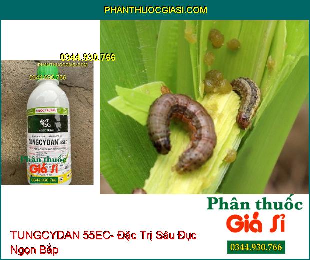 TUNGCYDAN 55EC- Đặc Trị Rệp Sáp Hại Cà Phê- Rầy Nâu Hại Lúa