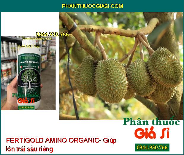 FERTIGOLD AMINO ORGANIC- Kích Rễ Ra Mạnh- Phát Đọt- Mập Cây