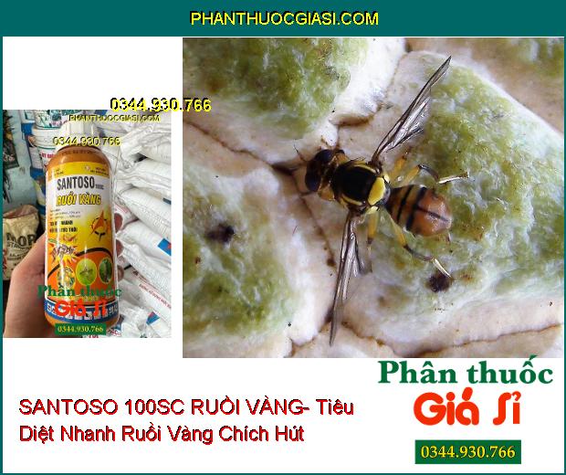 SANTOSO 100SC RUỒI VÀNG- Tiêu Diệt Nhanh Ruồi Vàng Chích Hút