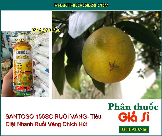 SANTOSO 100SC RUỒI VÀNG- Tiêu Diệt Nhanh Ruồi Vàng Chích Hút