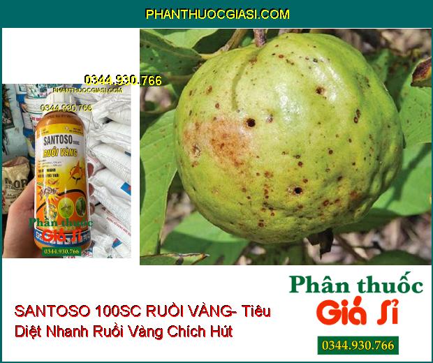 SANTOSO 100SC RUỒI VÀNG- Tiêu Diệt Nhanh Ruồi Vàng Chích Hút