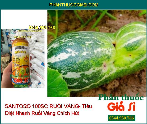 SANTOSO 100SC RUỒI VÀNG- Tiêu Diệt Nhanh Ruồi Vàng Chích Hút