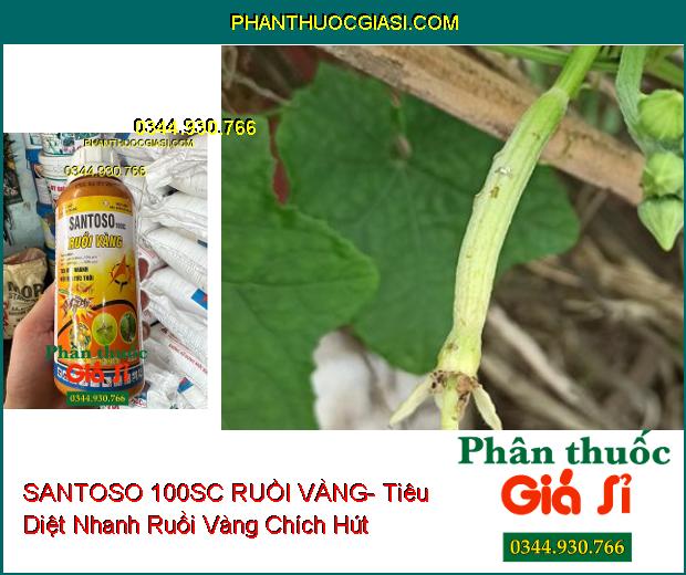 SANTOSO 100SC RUỒI VÀNG- Tiêu Diệt Nhanh Ruồi Vàng Chích Hút