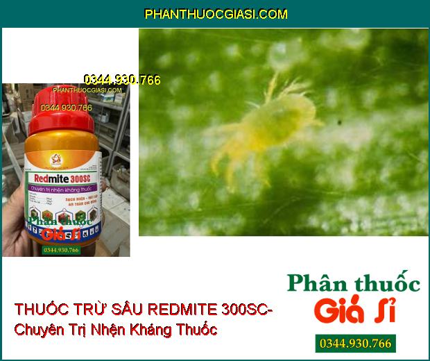 THUỐC TRỪ SÂU REDMITE 300SC- Chuyên Trị Nhện Kháng Thuốc