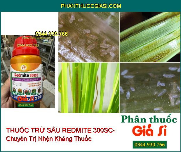 THUỐC TRỪ SÂU REDMITE 300SC- Chuyên Trị Nhện Kháng Thuốc